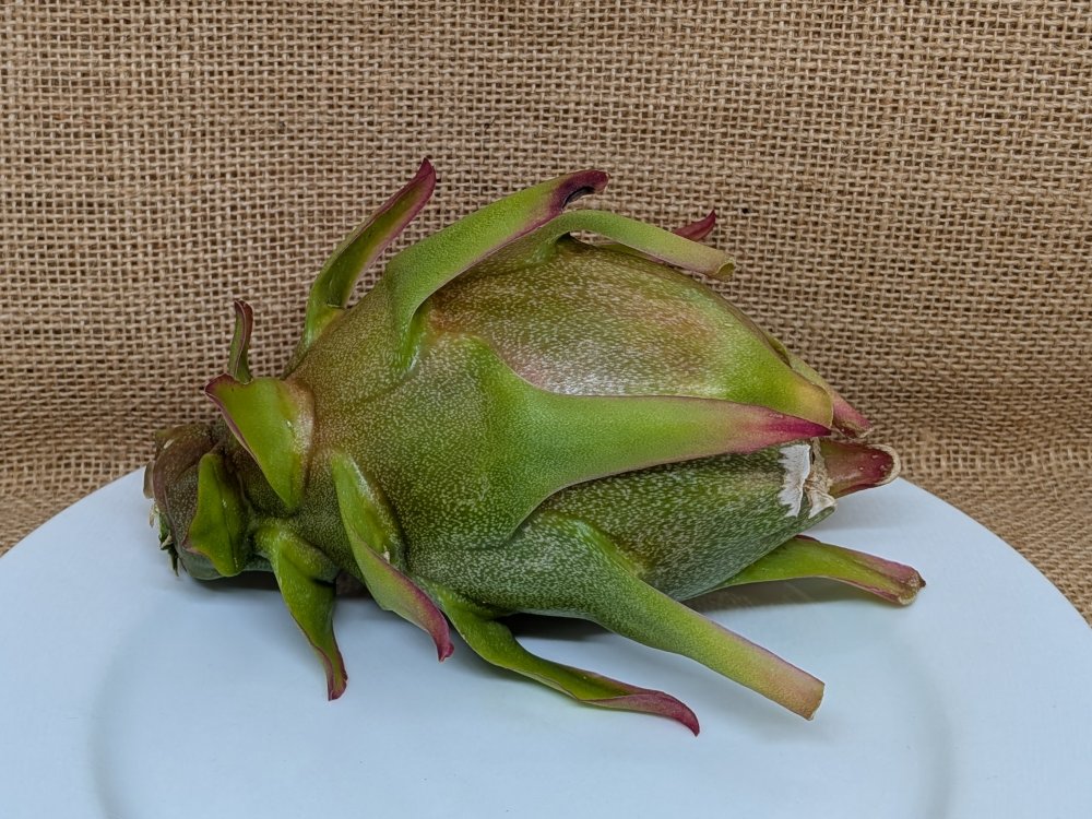 Ax dragon fruit whole